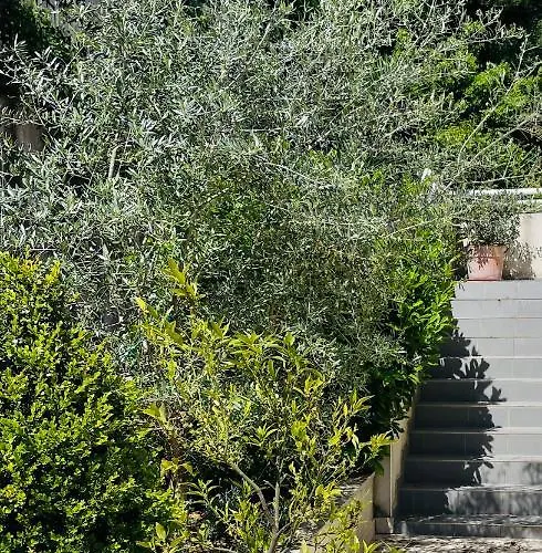 Propriete Malva Bergamotta 公寓 阿拉塔